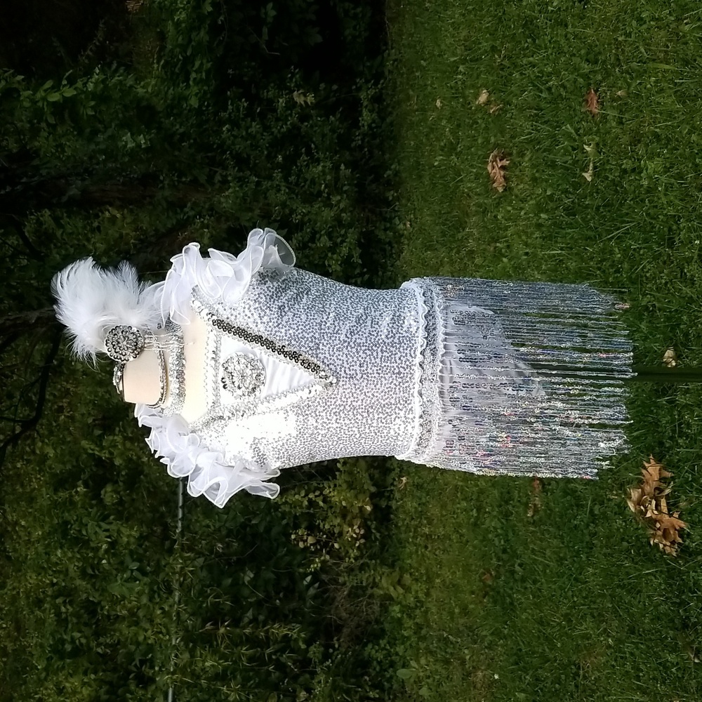 Glamour White Silver Sequin Fringe Dance Costume